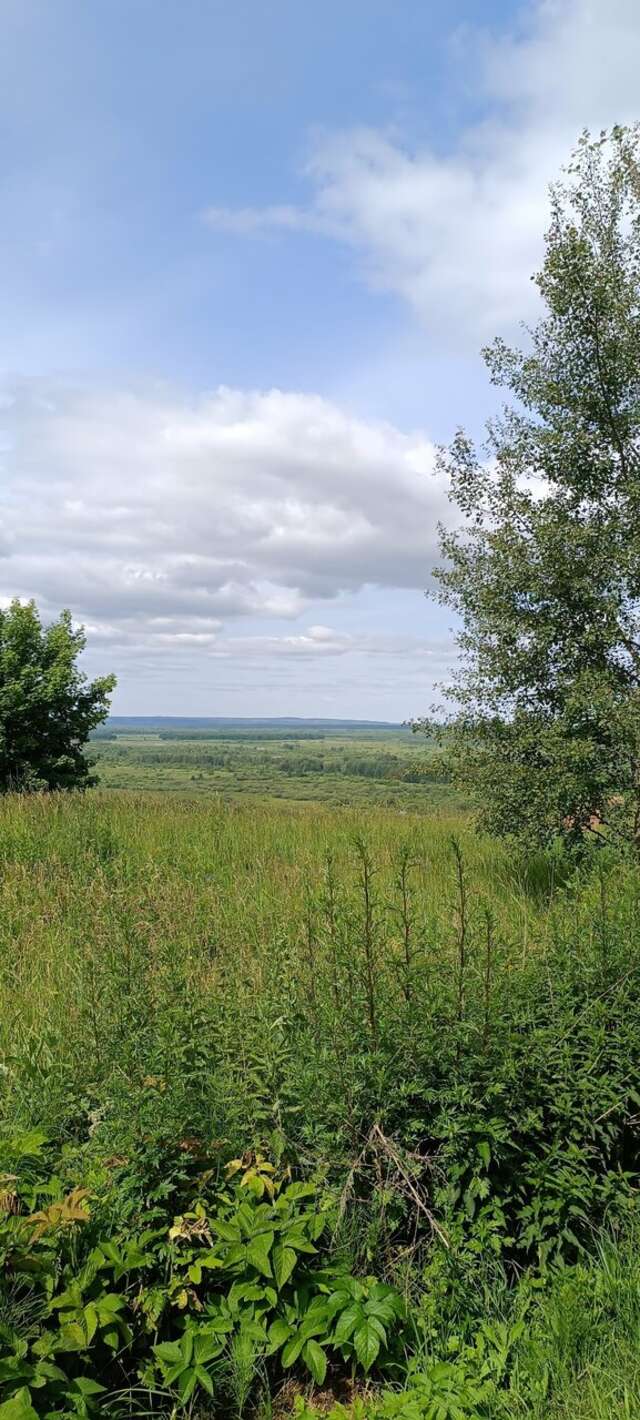 Гостиница Лабиринт Гороховец-123