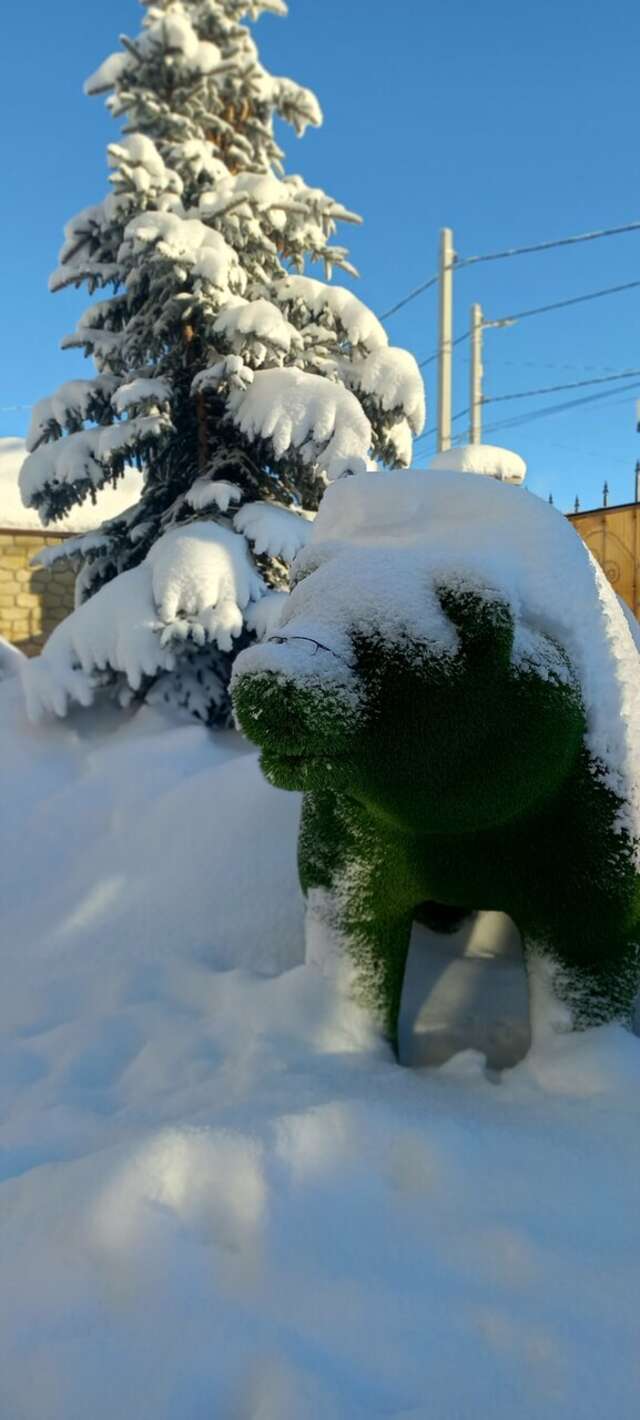 Гостиница Лабиринт Гороховец-82